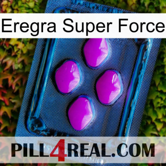 Eregra Super Force 04